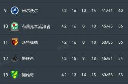 开云体育入口-谢菲联客场不敌对手，遗憾失去3分