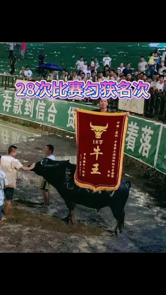 高原挑战！球队客场战胜对手的简单介绍