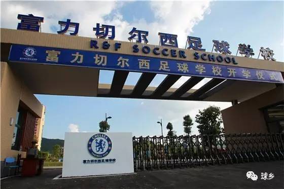 德国足协成立足球青训基地，关注青少年成长的简单介绍